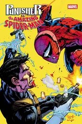 PUNISHER VS SPIDER-MAN 2
