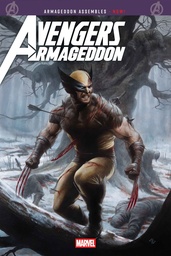 AVENGERS ARMAGEDDON 2 ADI GRANOV VAR