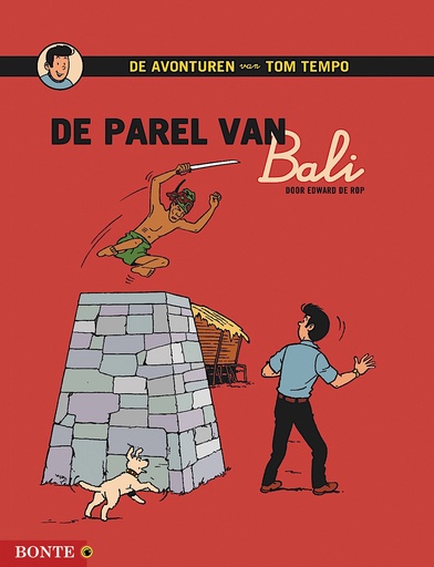 Tom Tempo 13 De parel van Bali