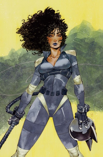 ABSOLUTE CATWOMAN 3 (OF 6) CVR D CHUMA HILL CARD STOCK VAR