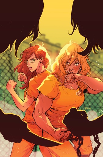 BARBARA GORDON BREAKOUT 4 CVR A KARL KERSCHL