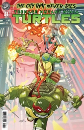 TMNT 21 VAR RI (25) (GRIFFIN)