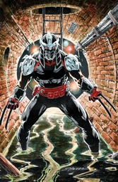 TMNT SHREDDER 10 VAR RI (25) (HANNA FULL ART)