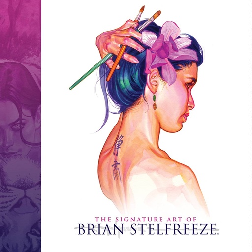 SIGNATURE ART OF BRIAN STELFREEZE HC