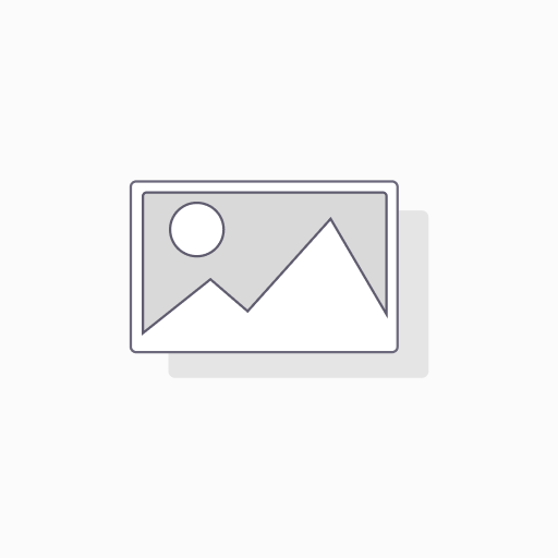 2000 AD PROG 2491