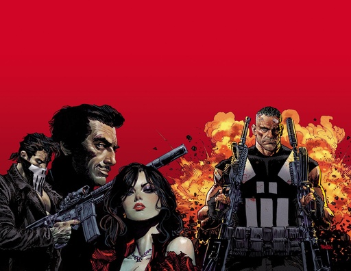 MARVEL KNIGHTS PUNISHER