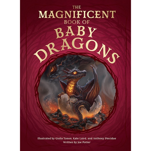 MAGNIFICENT BOOK OF BABY DRAGONS HC