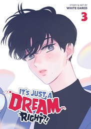 IT'S JUST A DREAM... RIGHT? (COMIC) 3
