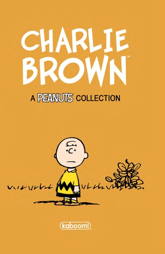 CHARLIE BROWN HC