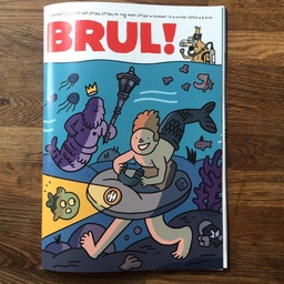 Brul 13 - ISSN Brul 9772666035010 DIENST