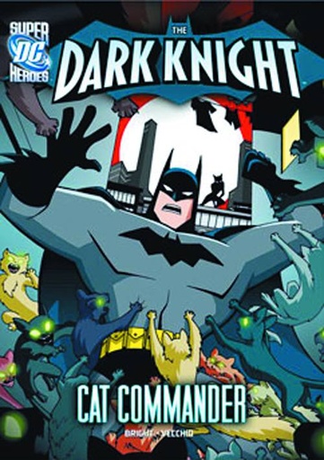DC SUPER HEROES DARK KNIGHT YR CAT COMMANDER