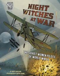 AMAZING WORLD WAR II STORIES NIGHT WITCHES AT WAR