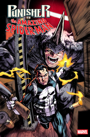 PUNISHER VS  SPIDER-MAN 3