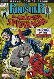 PUNISHER VS  SPIDER-MAN 3 ERIK LARSEN VARIANT