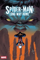 SPIDER-MAN  LONG WAY HOME 4