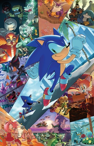 Sonic Hedgehog 91 VAR RI (25) (Hammerstrom Full Art)