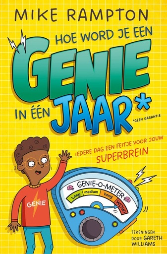 Hoe word je een genie in een jaar
