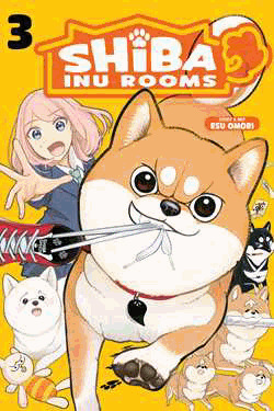 Shiba Inu Rooms 3