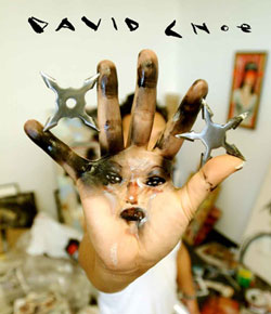 DAVID CHOE HC