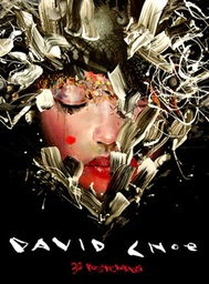 DAVID CHOE 30 POSTCARDS
