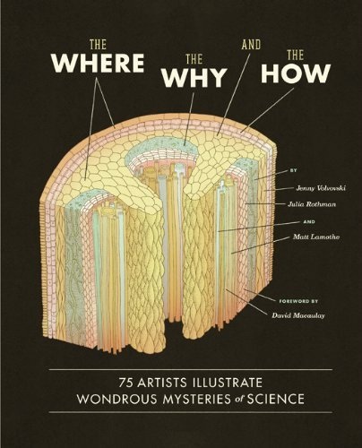 THE WHERE THE WHY AND THE HOW HC