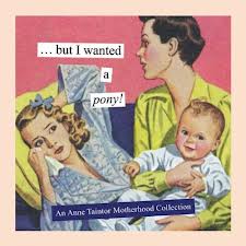 BUT I WANTED A PONY