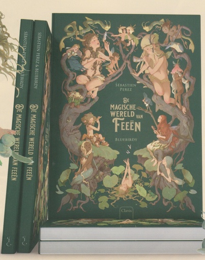 PRENTENBOEK - De magische wereld van feeen