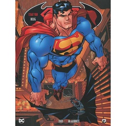 Superman/Batman 3: Staat van beleg 1