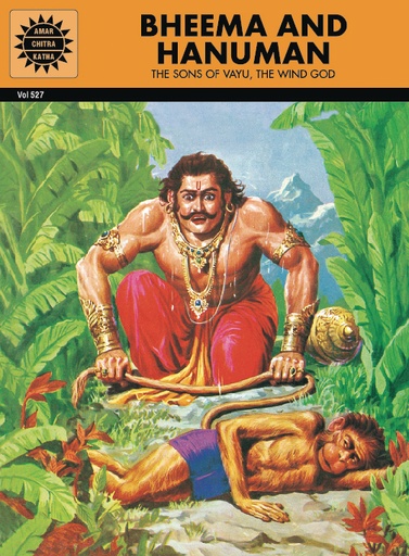 BHEEMA AND HANUMAN THE SONS OF VAYU THE WIND GO