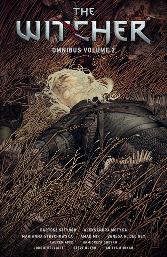 WITCHER OMNIBUS 02
