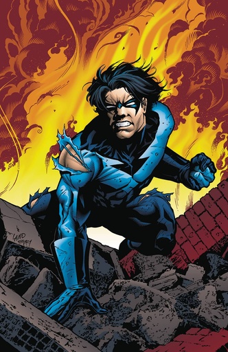 NIGHTWING 06 TO SERVE AND PROTECT