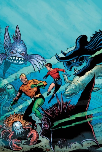 AQUAMAN THE SILVER AGE OMNIBUS HC 01