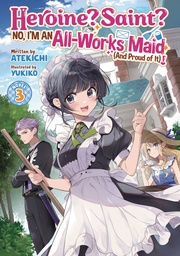 HEROINE SAINT NO I'M AN ALLWORKS MAID (LIGHT NOVEL) 3