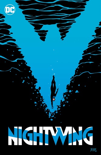 NIGHTWING 6 STANDING AT THE EDGE