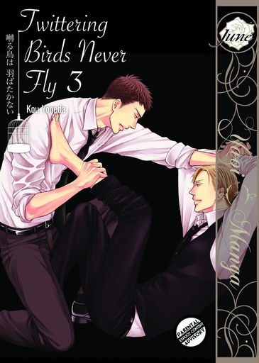 TWITTERING BIRDS NEVER FLY 03