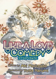 LIKE A LOVE COMEDY NOVEL