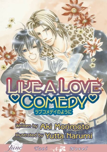 LIKE A LOVE COMEDY NOVEL