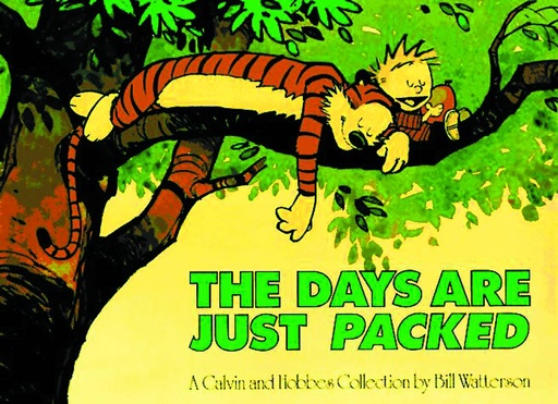 CALVIN & HOBBES DAYS ARE JUST PACKED