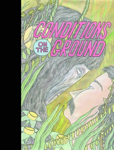 CONDITIONS ON THE GROUND HC