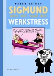 Sigmund weet wel raad met ... 13 Werkstress