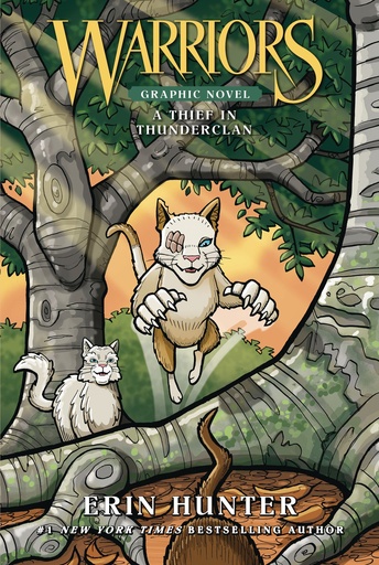 WARRIORS THIEF IN THUNDERCLAN HC