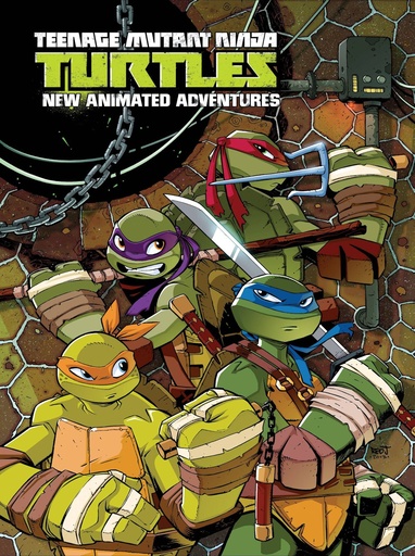 TMNT NEW ANIMATED ADV OMNIBUS 01