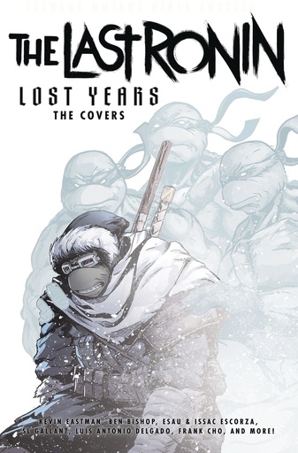 TEENAGE MUTANT NINJA TURTLES LAST RONIN LOST YEARS COVERS