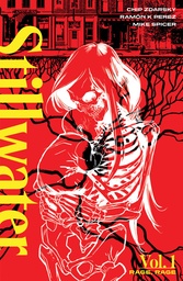 STILLWATER BY ZDARSKY & PEREZ 01
