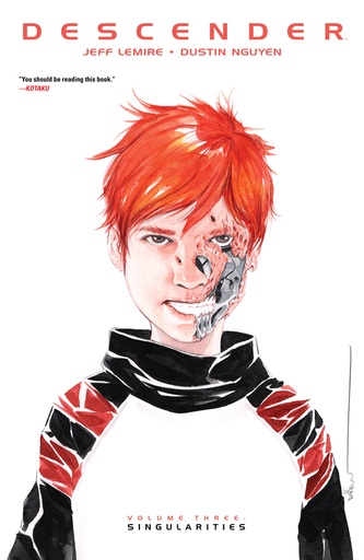 DESCENDER 03 SINGULARITIES