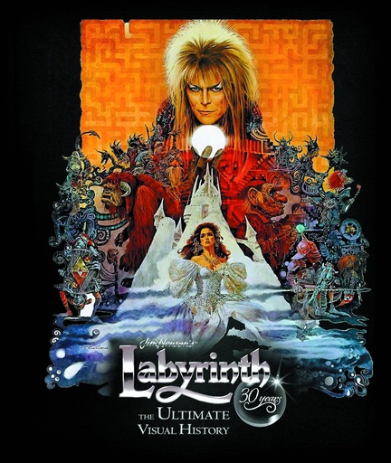 LABYRINTH ULTIMATE VISUAL HISTORY HC